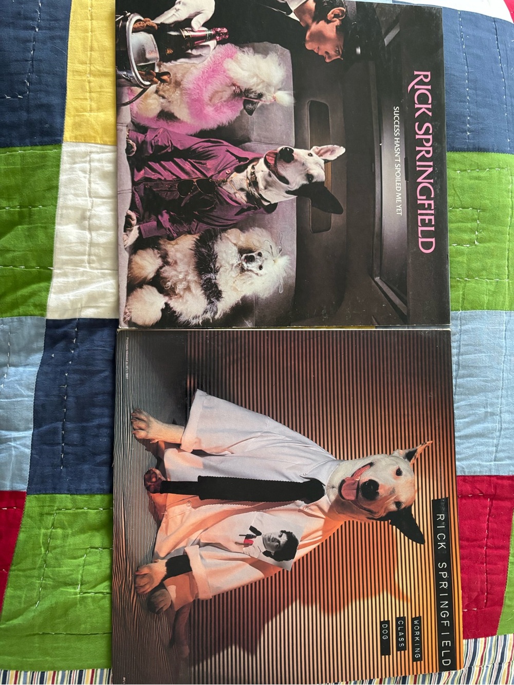Rick Springfield Vinyl Album 2 Lp Lot 80’s